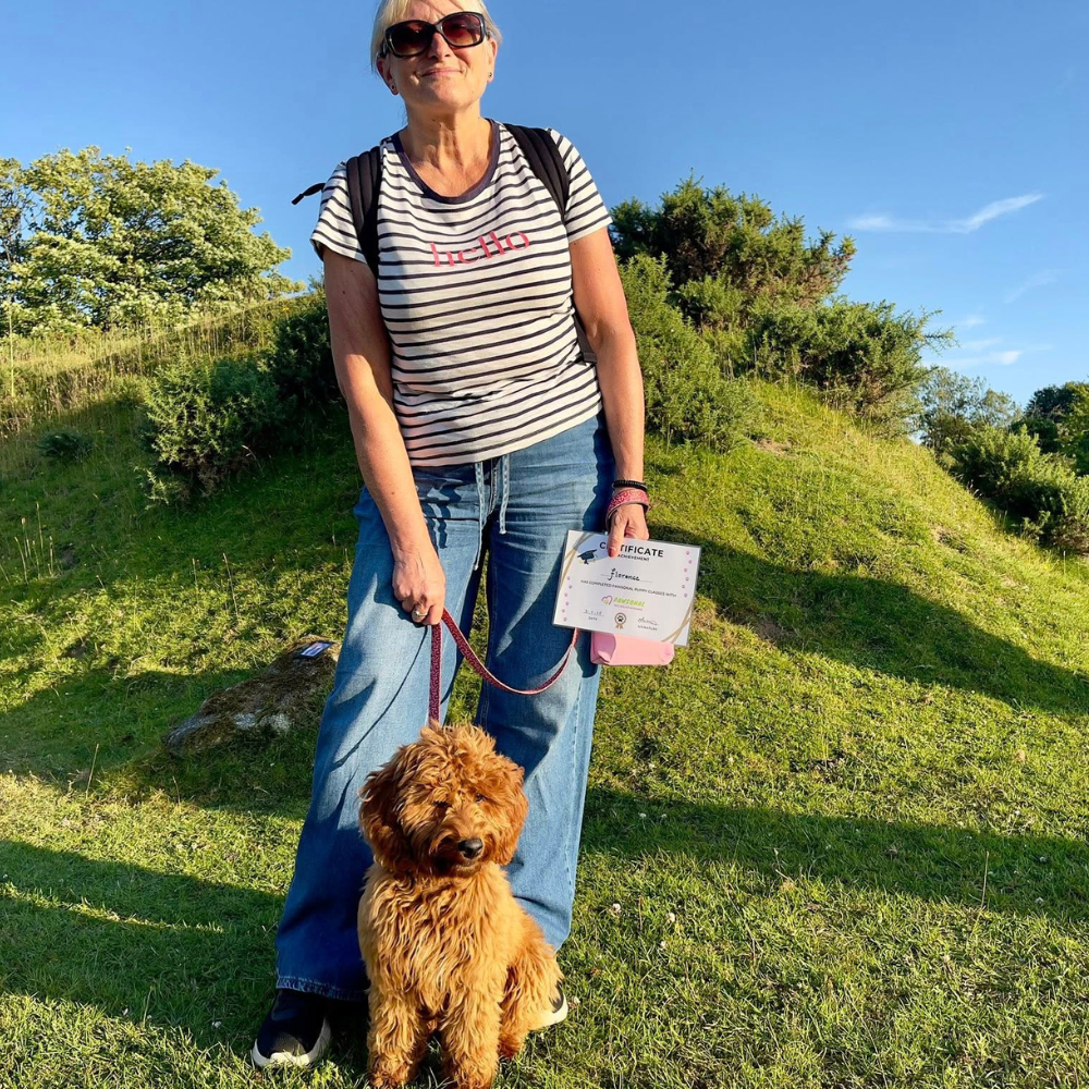 Puppy classes in plymouth by pawsonal dog walker & trainer