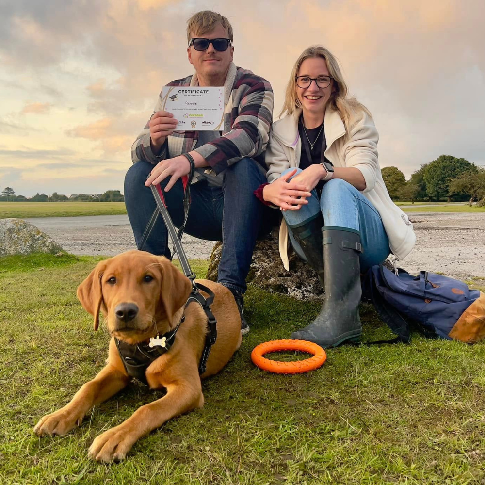 dog training plymouth